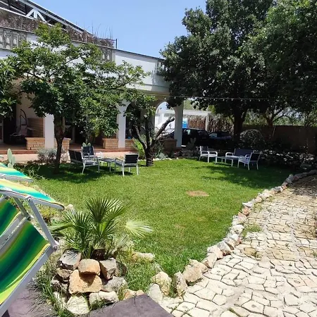 - Pool & Nature *